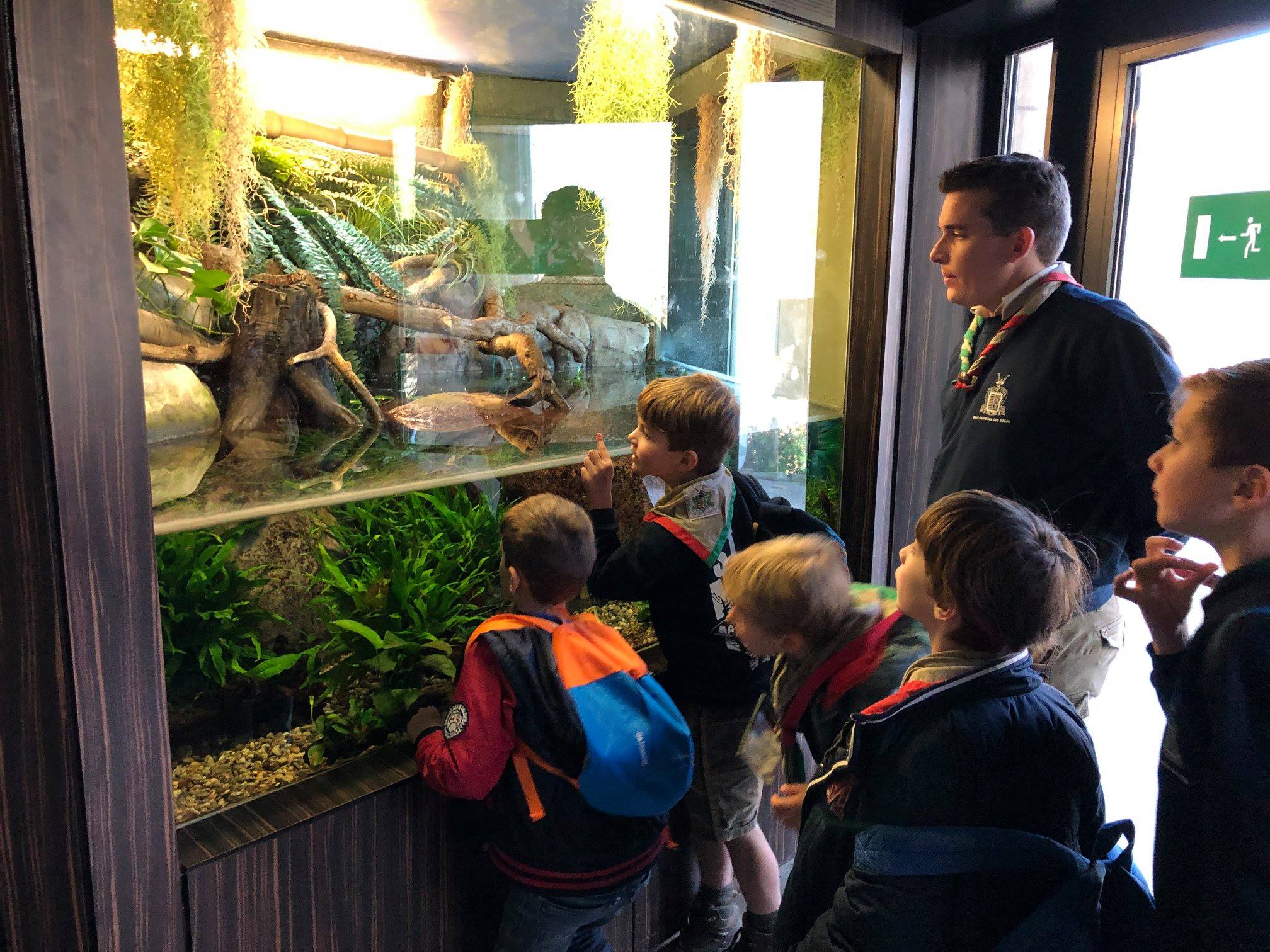 Sint-Martinus den XIIde - Zoo Antwerpen Kapoenen